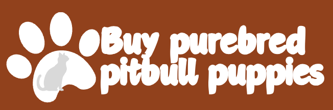 buypurebredpitbullpuppies.com